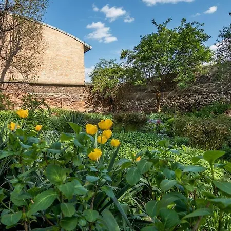 Apartment Studio With Garden - Wawel Neighborhood *